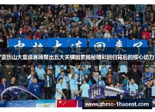 亚历山大重返赛场复出五大关键因素揭秘精彩回归背后的核心动力
