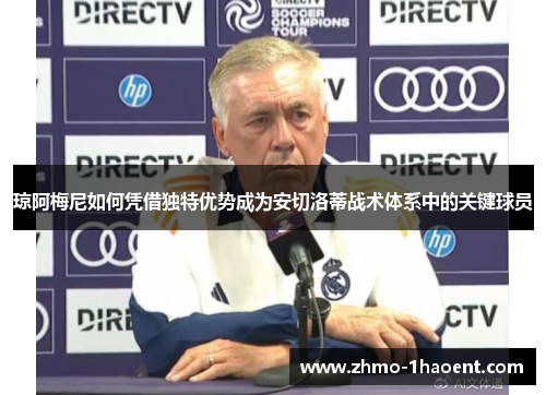 琼阿梅尼如何凭借独特优势成为安切洛蒂战术体系中的关键球员