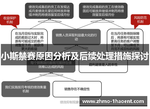 小斯禁赛原因分析及后续处理措施探讨