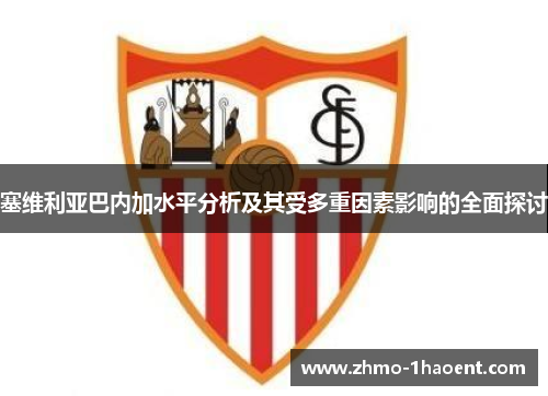 塞维利亚巴内加水平分析及其受多重因素影响的全面探讨