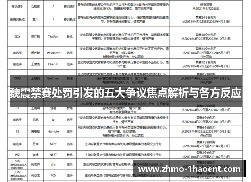 魏震禁赛处罚引发的五大争议焦点解析与各方反应