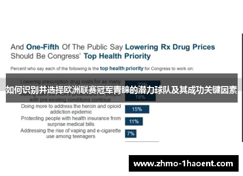 如何识别并选择欧洲联赛冠军青睐的潜力球队及其成功关键因素