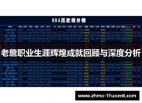 老詹职业生涯辉煌成就回顾与深度分析
