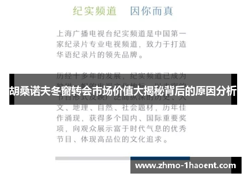 胡桑诺夫冬窗转会市场价值大揭秘背后的原因分析