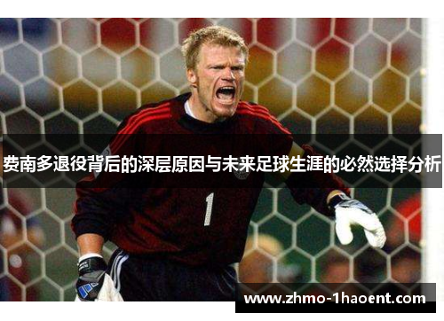 费南多退役背后的深层原因与未来足球生涯的必然选择分析